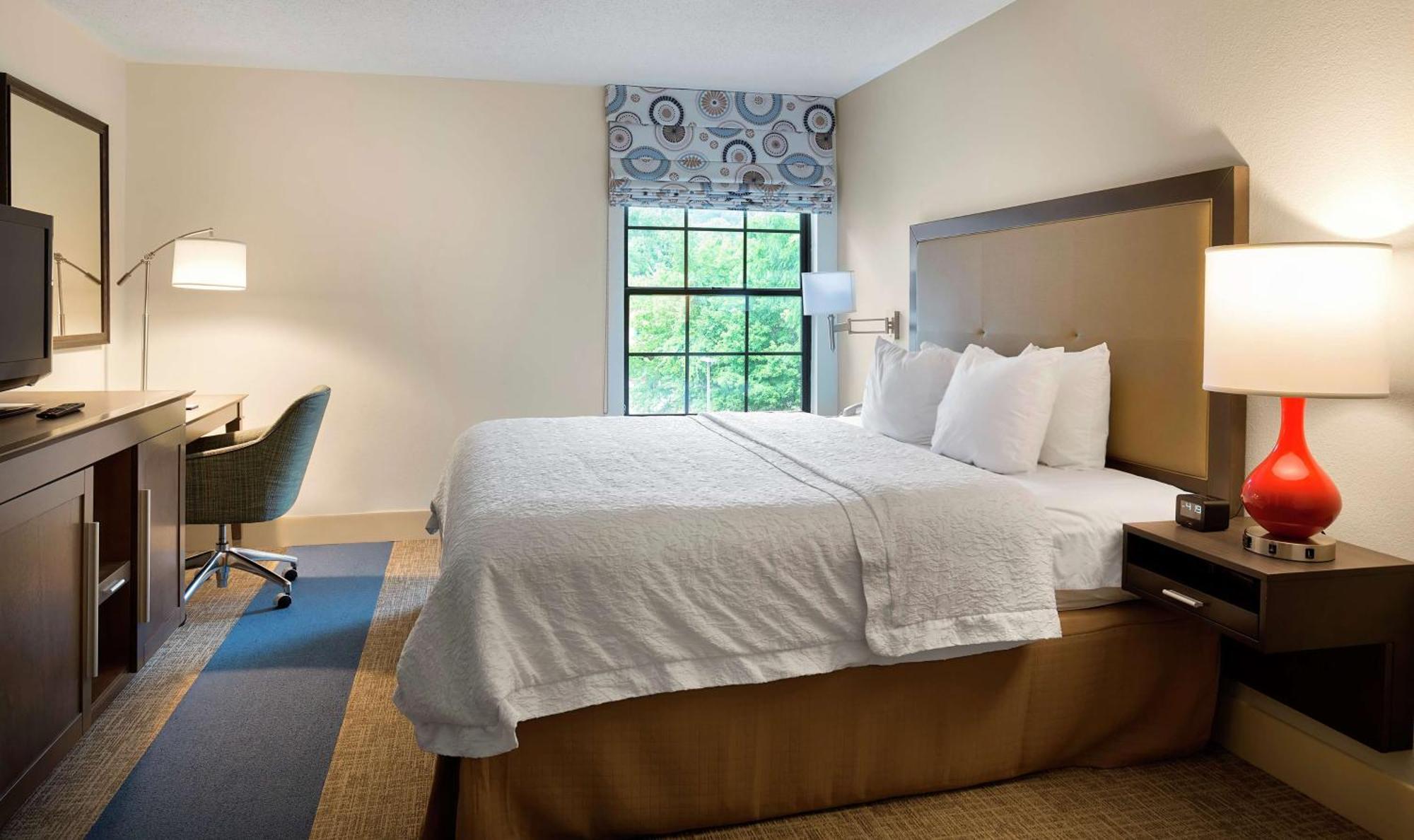 Hampton Inn Helen Bagian luar foto
